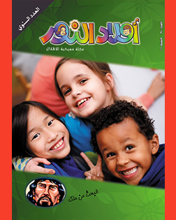 العدد 91